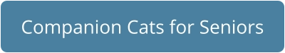 Companion Cats for Seniors