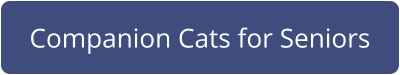 Companion Cats for Seniors