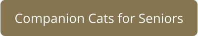 Companion Cats for Seniors