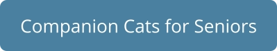 Companion Cats for Seniors
