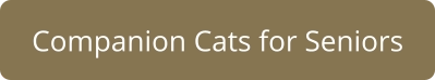 Companion Cats for Seniors
