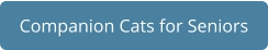 Companion Cats for Seniors