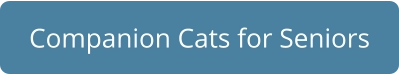 Companion Cats for Seniors