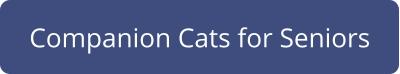 Companion Cats for Seniors