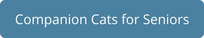 Companion Cats for Seniors