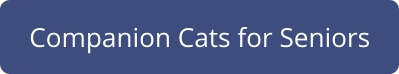 Companion Cats for Seniors